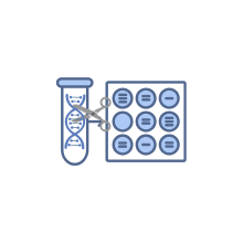 CRISPR test assays